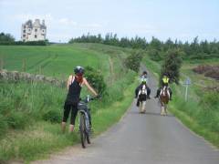 Photo of a recent bike ride